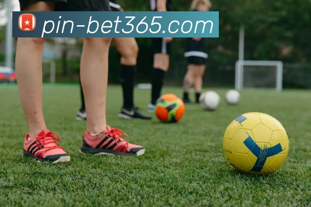 bet365平台生态图