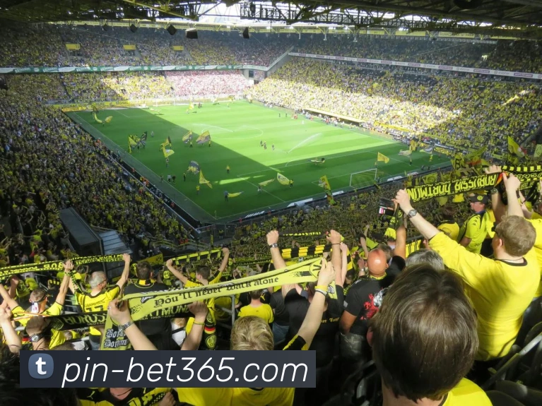 辅助工具 辅助工具